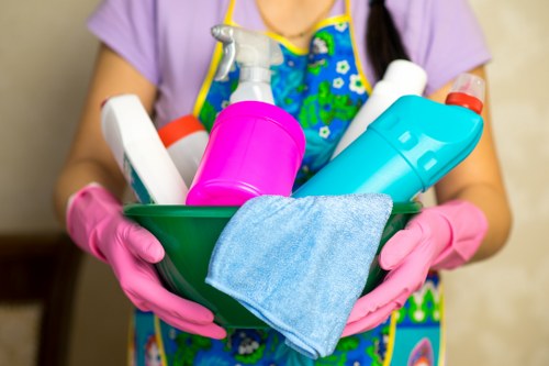 Professional upholstery cleaning in a Blackwall living room