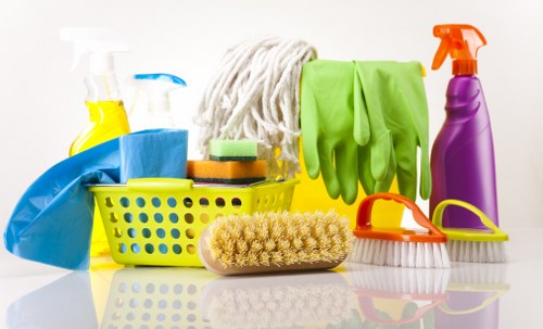 Professional carpet cleaner completing a safe and insured cleaning service