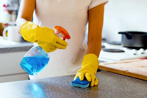 Curtain cleaning service in a Blackwall home interior