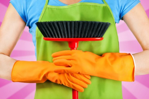 Deep carpet cleaning in a busy home or office environment in Blackwall