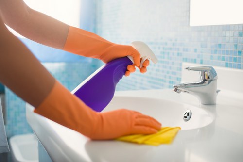 Hot water extraction carpet cleaning process in Blackwall
