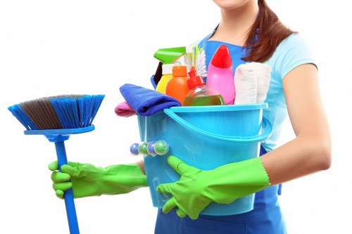 Upholstery cleaning and stain treatment in Blackwall