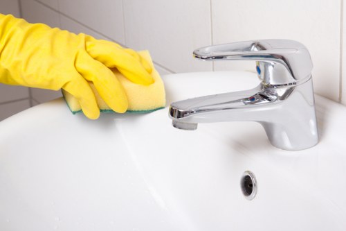 Blackwall carpet cleaning specialist treating a high-traffic area