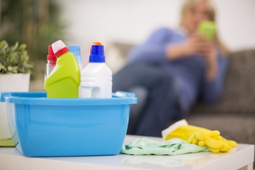 Supplier audit process for ethical carpet cleaning operations