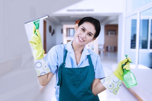 Expert carpet cleaning service for residential and commercial spaces