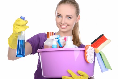 Upholstery cleaning equipment used for sofa cleaning in Blackwall