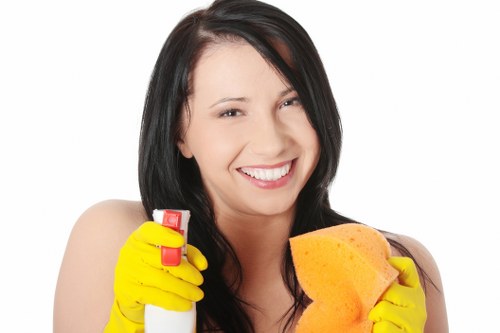 Deep cleaning upholstery affected by pet stains in Blackwall