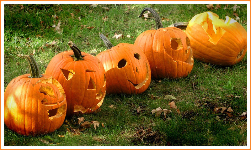 Window cleaning professional cleaners